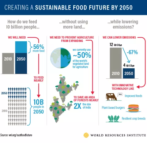 Infografik zum Thema "Schaffung einer nachhaltigen Lebensmittelzukunft bis 2050"